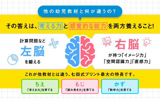 江津市限定返礼品】七田式プリントA 2歳半～4歳 SC-49｜しちだ 七田式