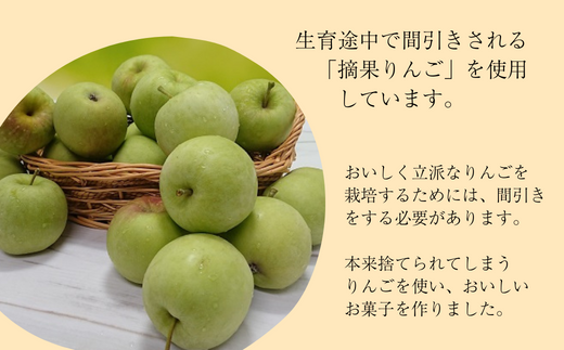MZ03-25D 南信州りんごのお菓子お試しセット // 長野県 南信州 ギフト