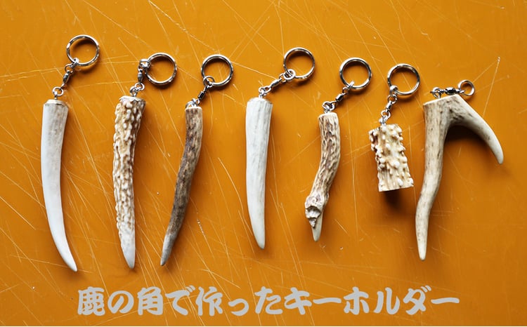 房総ジビエクラフト】工芸・壁飾り用天然素材『日本鹿の角 一対』大