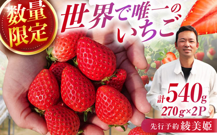 先行予約 2026年2月より発送】 〈幻のイチゴ〉綾美姫270g×2 いちご