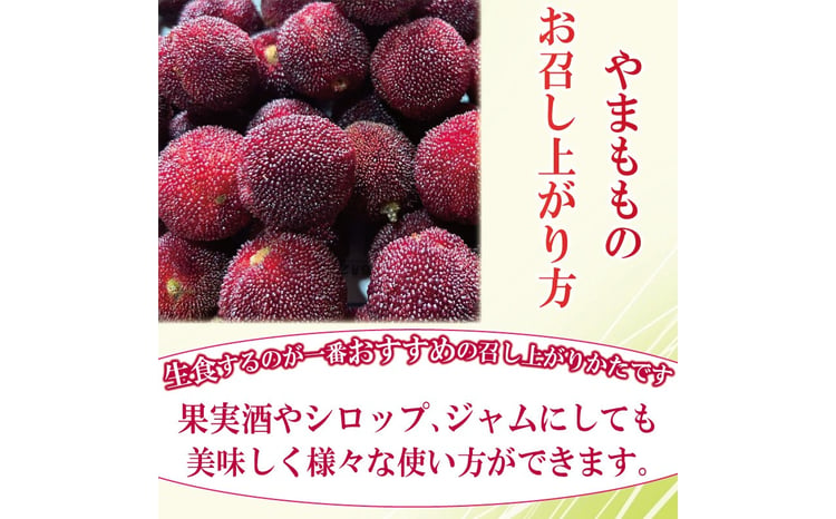 先行予約】やまもも 400g～1.2kg 2026年6月下旬より順次発送 小分け