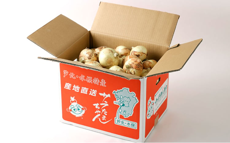 サラたまちゃん 約10kg （30玉前後） 玉ねぎ 野菜 サラダ 水俣市産