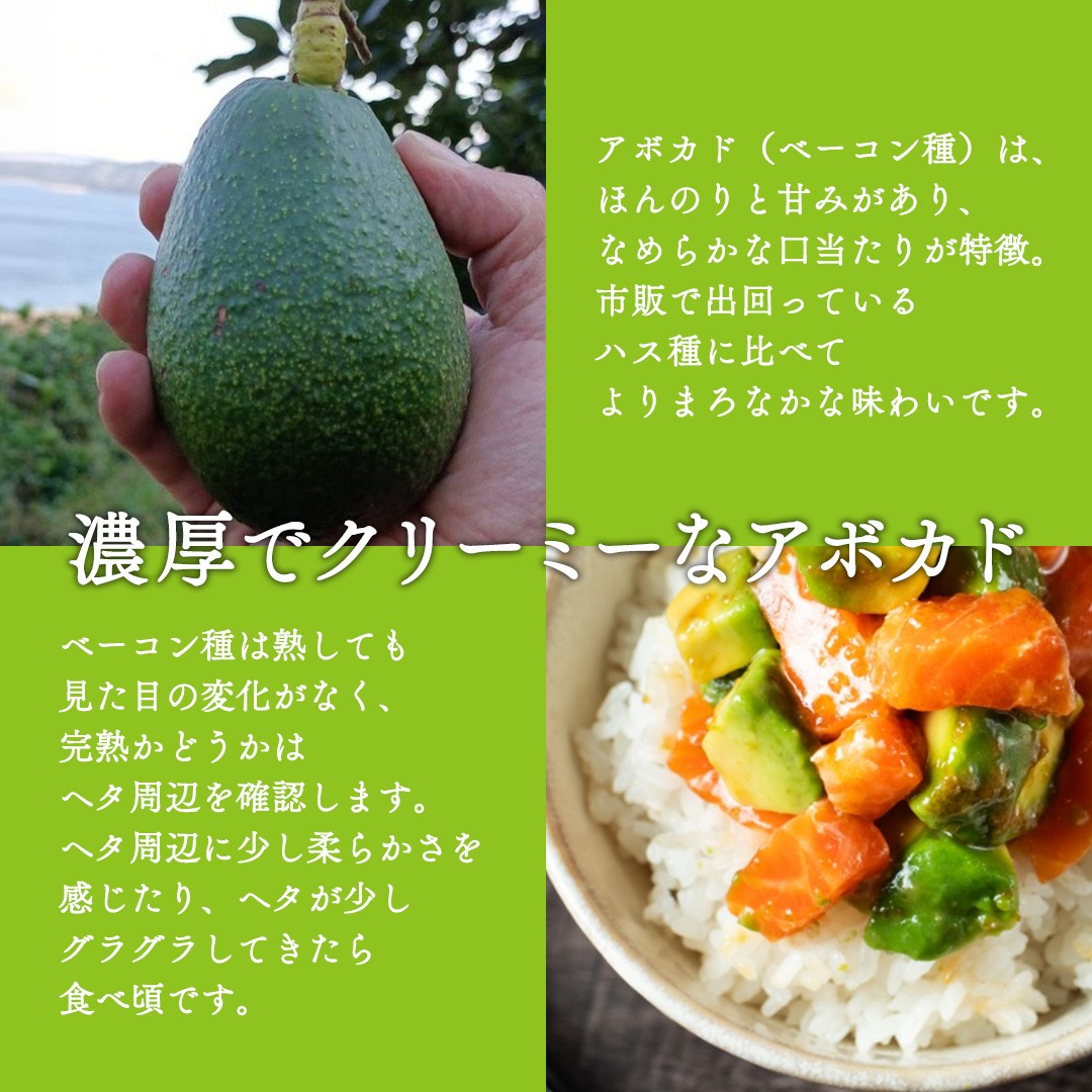 国産 オーガニック アボカド ( ベーコン種 ) 2個【2026年11月下旬以降