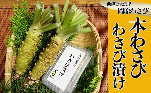 世界農業遺産認定】西伊豆町の本わさび・わさびづけセット（岡原わさび