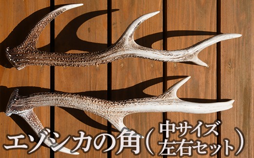エゾシカの角（中サイズ、左右セット） ふるさと納税 人気 おすすめ