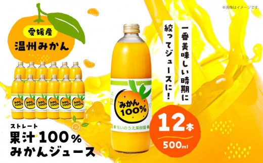 ジュース】みかんが1番美味しい時期にジュースにしました！果汁100