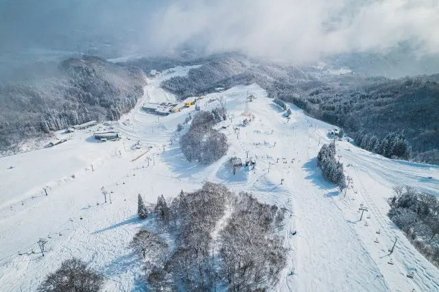 ダイナランド｜レジャーのチケット ローチケ[ローソンチケット]