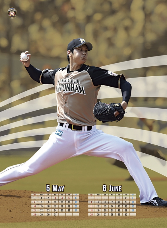 大谷翔平 2013 ハイライトフォト No.375 日本ハム 球団公式写真