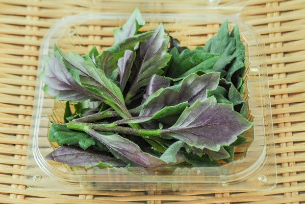 金時草（式部草） 【業務用食材の仕入れなら八面六臂】