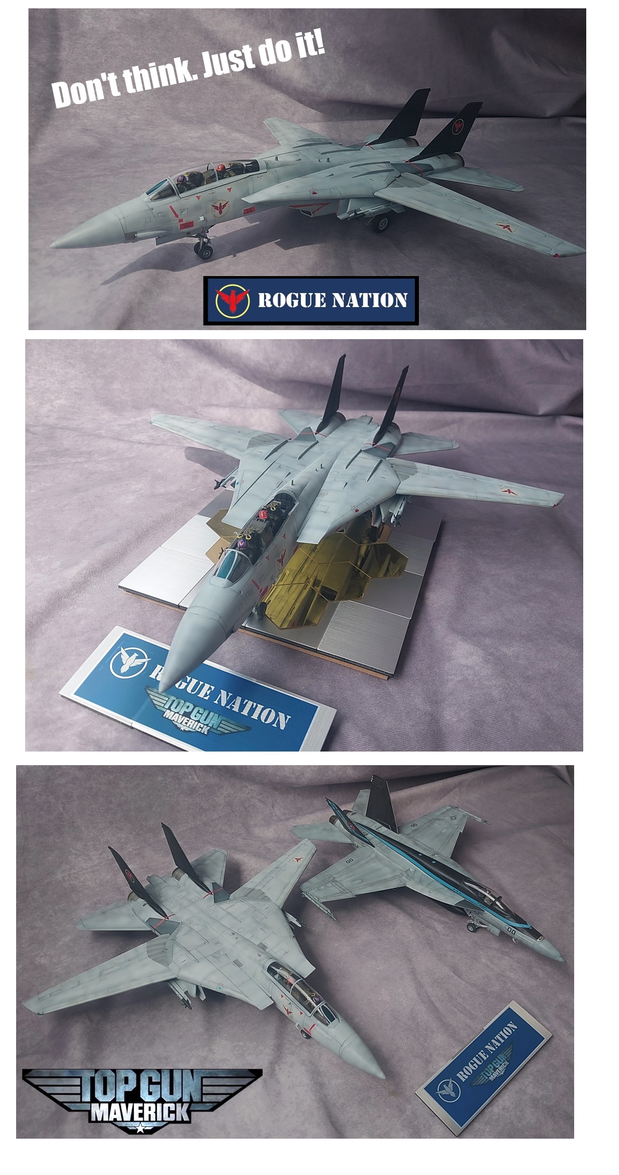 あさひちゃんたろう様専用】1/144 F-14A ならず者国家仕様 【公式通販】