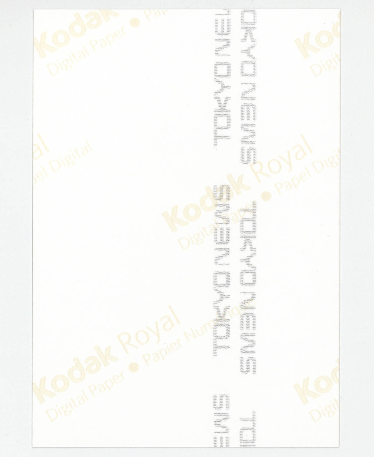 3505] 佐倉綾音 直筆サイン入りブロマイド