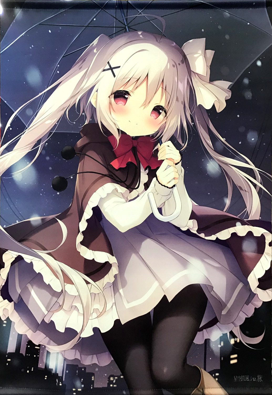 しらたま しらたまこ FANBOX継続特典 直筆サイン 色紙 くろいいぬ