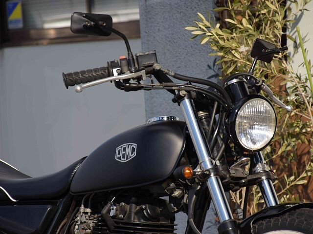 250TR/カワサキ/KAWASAKI 250TR 人気の高いオリジナル塗装を施したPEMC