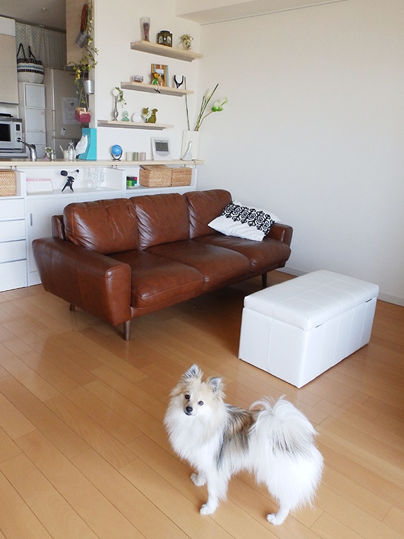 MOLN leather sofa 3 seater(モルン レザー ソファ 3 シーター)/MOLN