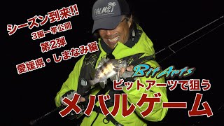 Pinwheel / ピンウィール ｜PALMS ｜ 株式会社パームス