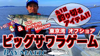 BAYMATIC / ベイマティック ｜PALMS ｜ 株式会社パームス