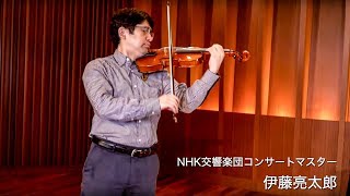 Braviol バイオリンセット V5SC 1/4 送料無料 | サウンドハウス