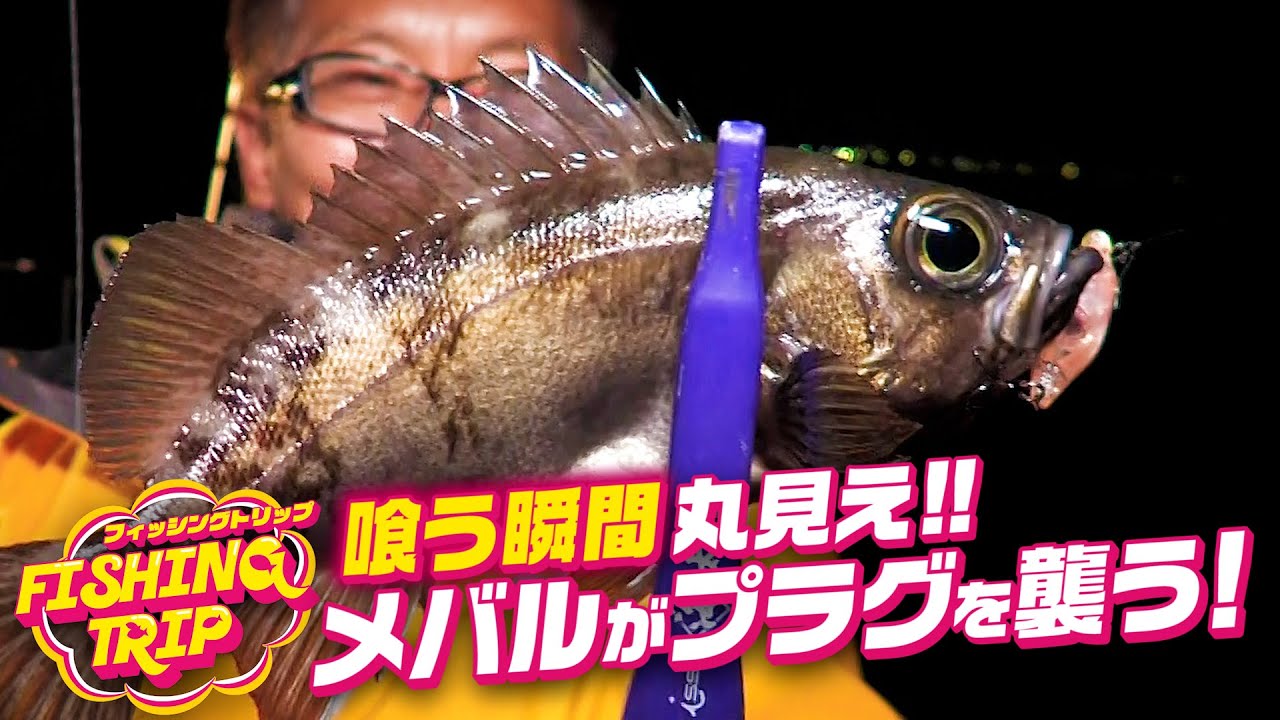 海太郎 ネコメタル 1.2g～7g | issei [一誠]