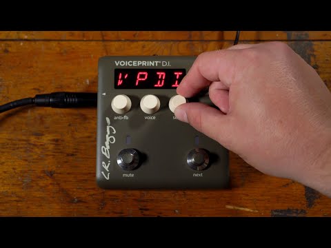 LR Baggs Voiceprint Acoustic DI | Sweetwater