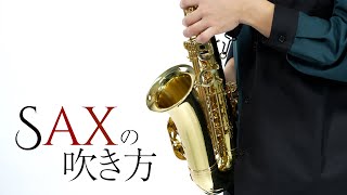 PLAYTECH ( プレイテック ) PTAS-350 アルトサックス ローズブラス