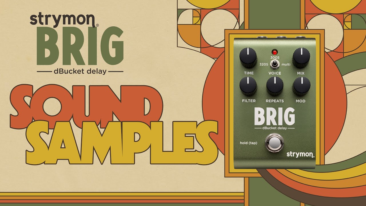 Brig dBucket Delay - Strymon