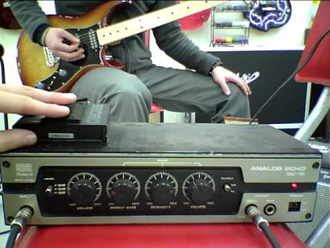 Roland DC 10 ANALOG ECHO | Reverb