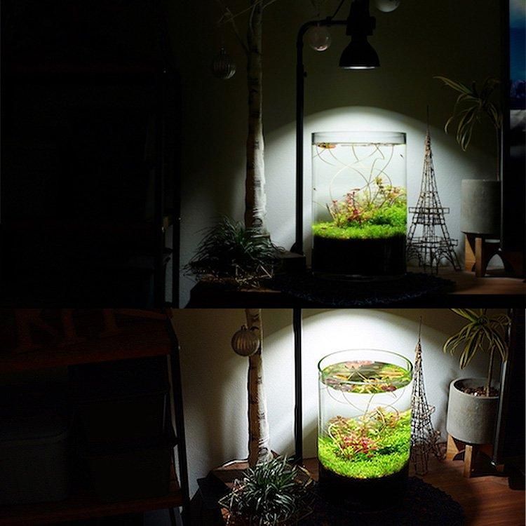AMATERAS LED植物育成ライト 10W - growstore -グロウストア-