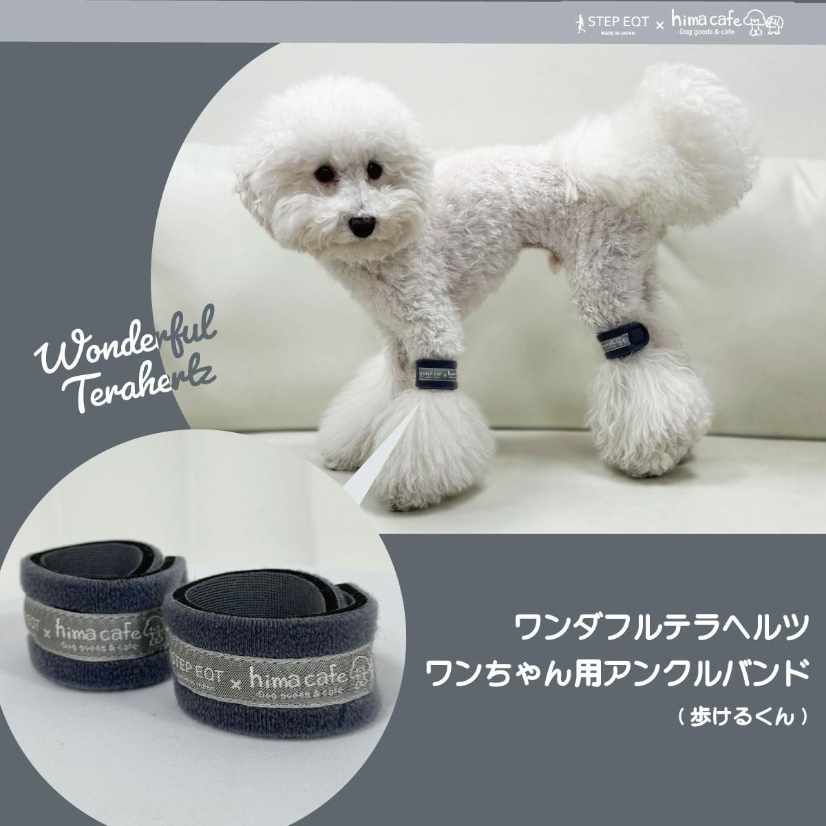 ひまカフェ×STEP EQT ワンダフルテラヘルツ ワンちゃん用アンクル