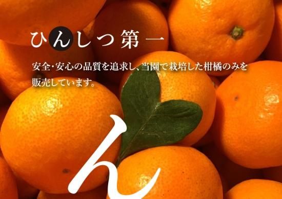 SUNSET 夕やけみかんのストレートジュース 720ml【愛媛県産みかん】100