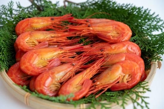 根室産】北海シマエビ400g【冷凍】 - マルイチダイ大場水産株式会社