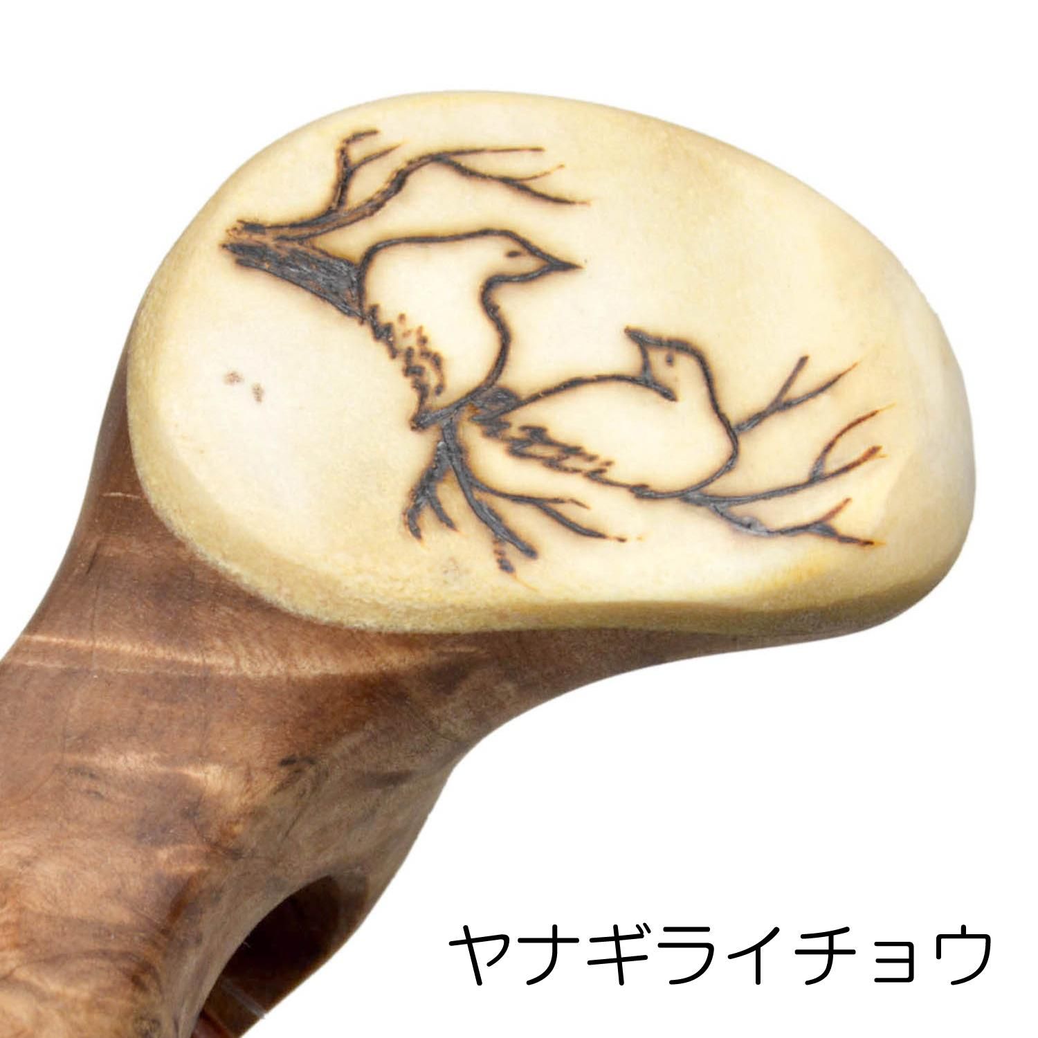パッカタイデククサ カーリーバーチ＆ヘラジカの角 ｜ ブッシュ