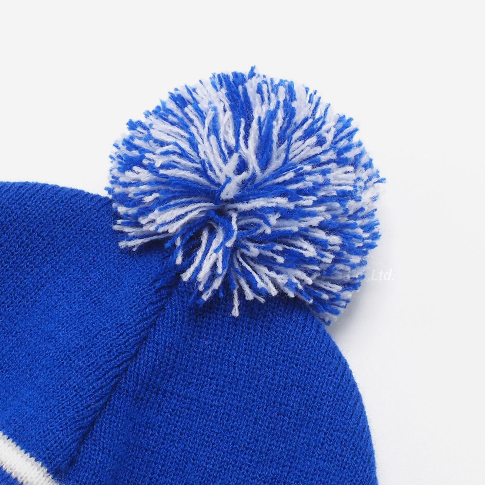Supreme/WTAPS Beanie - ParkSIDER