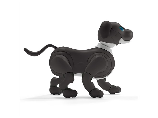ソニー、「aibo（アイボ）」の2023年カラー「エスプレッソ