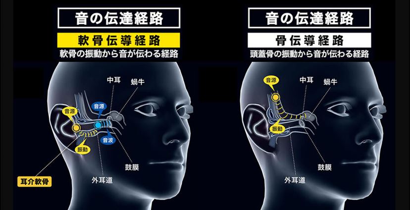 軟骨伝導イヤホンと骨伝導イヤホンはどう違う？ オーテクとShokzの製品
