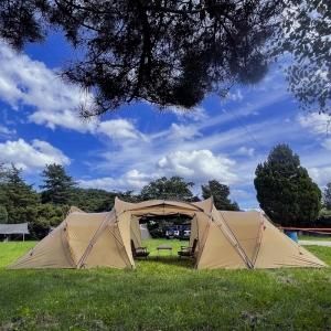 美品✳︎ 定価264,000円】ダル男 みどり トロイ テント TROIA Troia
