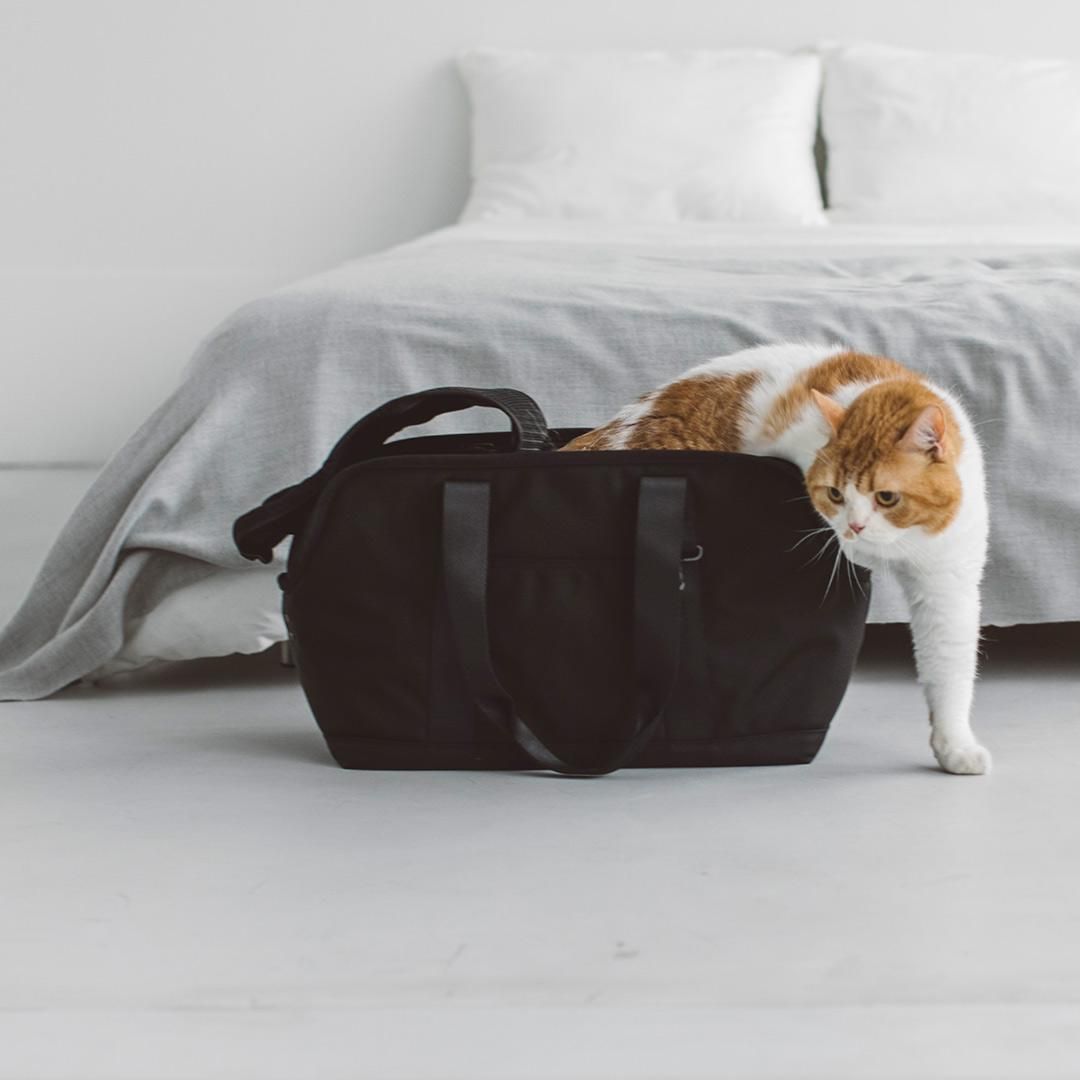 バルコディ スクエアトート ブラインドカバー付き - ドッググッズ・猫