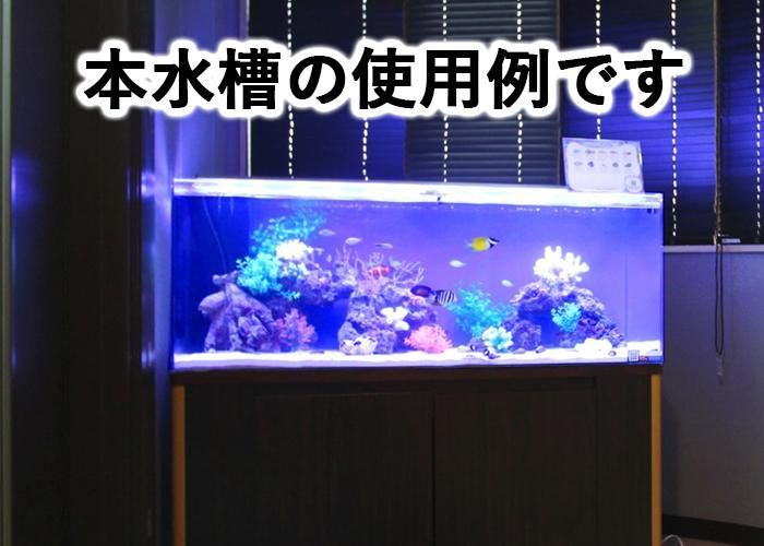 アクリル水槽 W1200×D450×H450mm 板厚8mm（規格サイズ） - オーダー