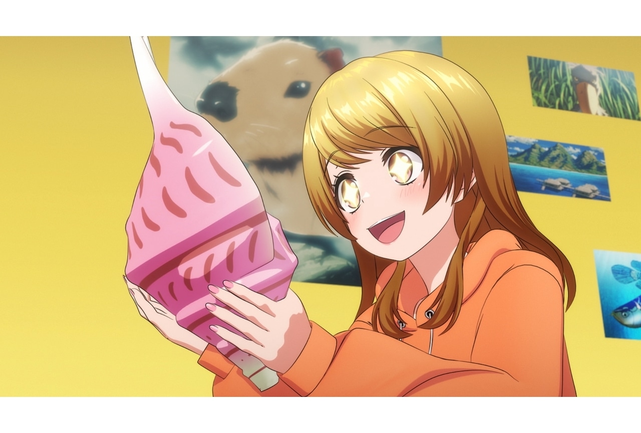 最終値下げ】ヨーヨー アニマ Anima Disyoyo anime11_600x600_crop_center.