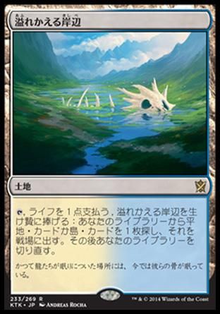 溢れかえる岸辺/Flooded Strand - マジック：ザ・ギャザリング（MTG