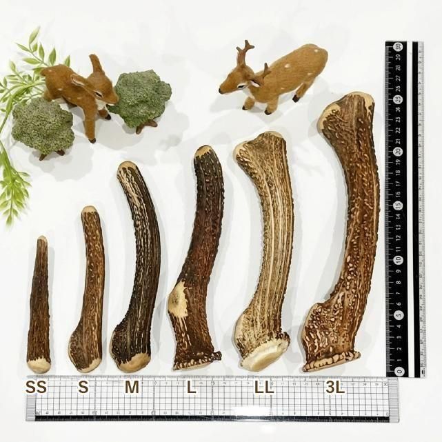 犬用 鹿の角 ツノ L 重さ121～170g【常温】 - 国産鹿肉 ドックフードと