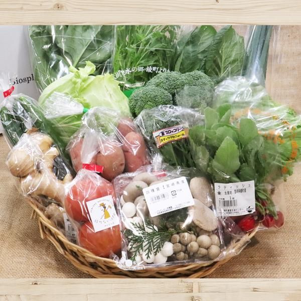 宮崎産直】綾町の季節野菜セット 10～12種類程度・クール便 - 宮崎観光