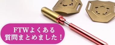 FTWフォーグセット/ 正規代理店 両手振り運動・スワイショウに