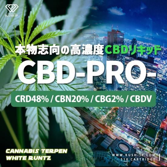 新基準対応】 CBD-PRO- （WhiteRutz : 1.0ml) - Kush JP