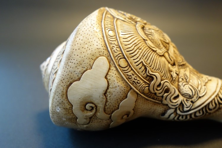 ほら貝・法螺貝・ホラガイ（シャンカ） 持金剛 販売｜大阪 多羅堂