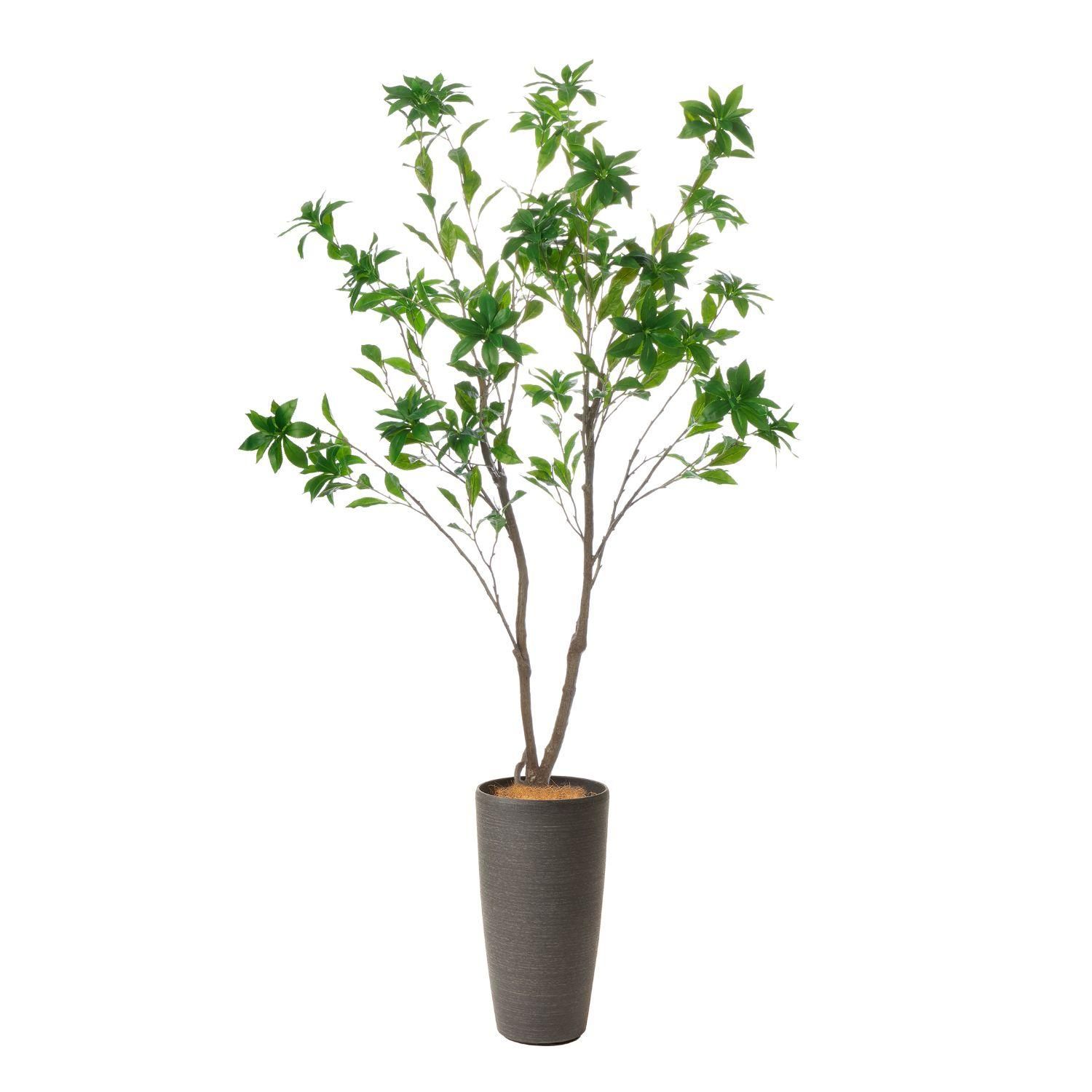 アセビの観葉植物 フェイクグリーン | 造花専門店プリマ