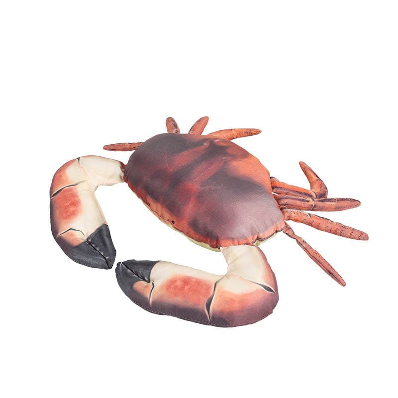 ダルトン DULTON フィッシーズ ブラウン クラブ 25FISHES BROWN CRAB