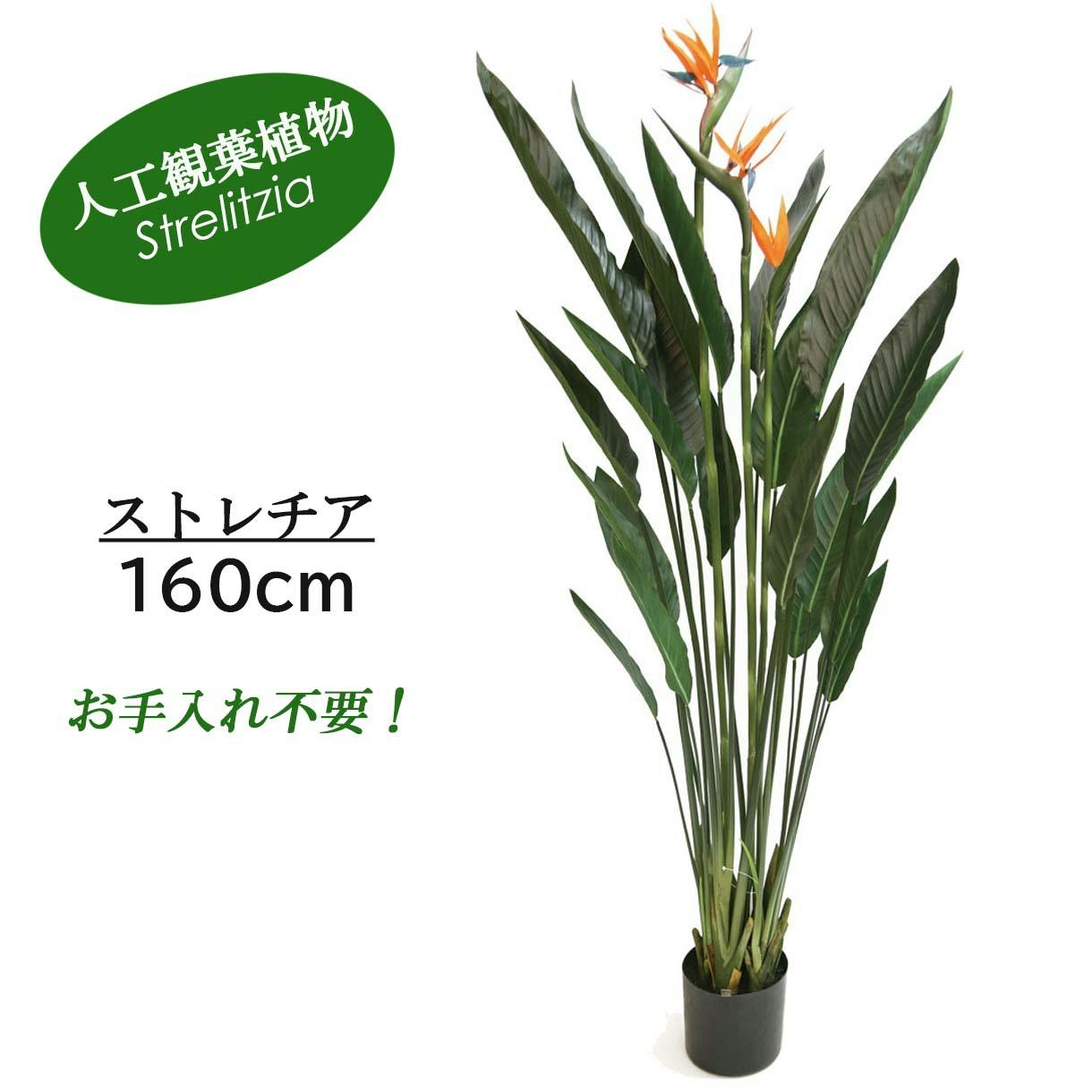 GREEN COFFRET ストレチア160cm 人工観葉植物 フェイクグリーン