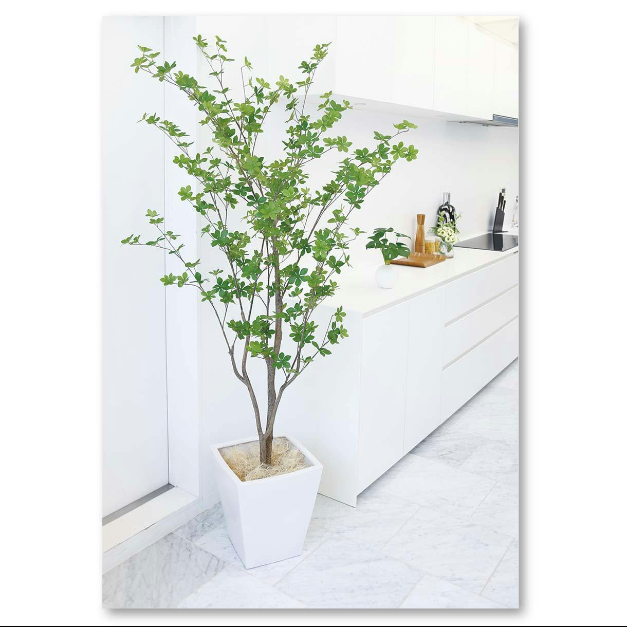 GREEN COFFRET ドウダンツツジ190cm 人工観葉植物 フェイクグリーン