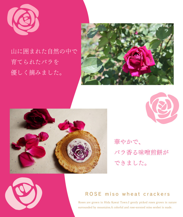 数量限定・バラの花びら入り味噌煎餅 | 井之廣製菓舗