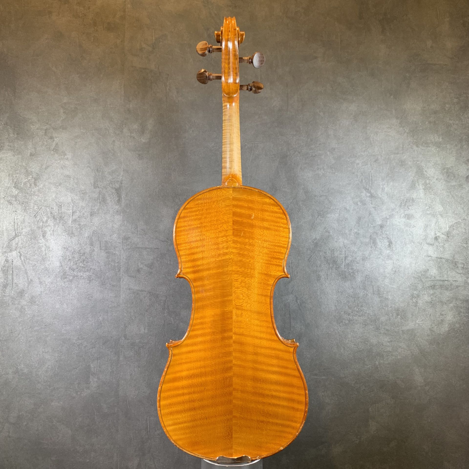 French / Model Amati - 弦楽器コンシェルジュ｜島村楽器